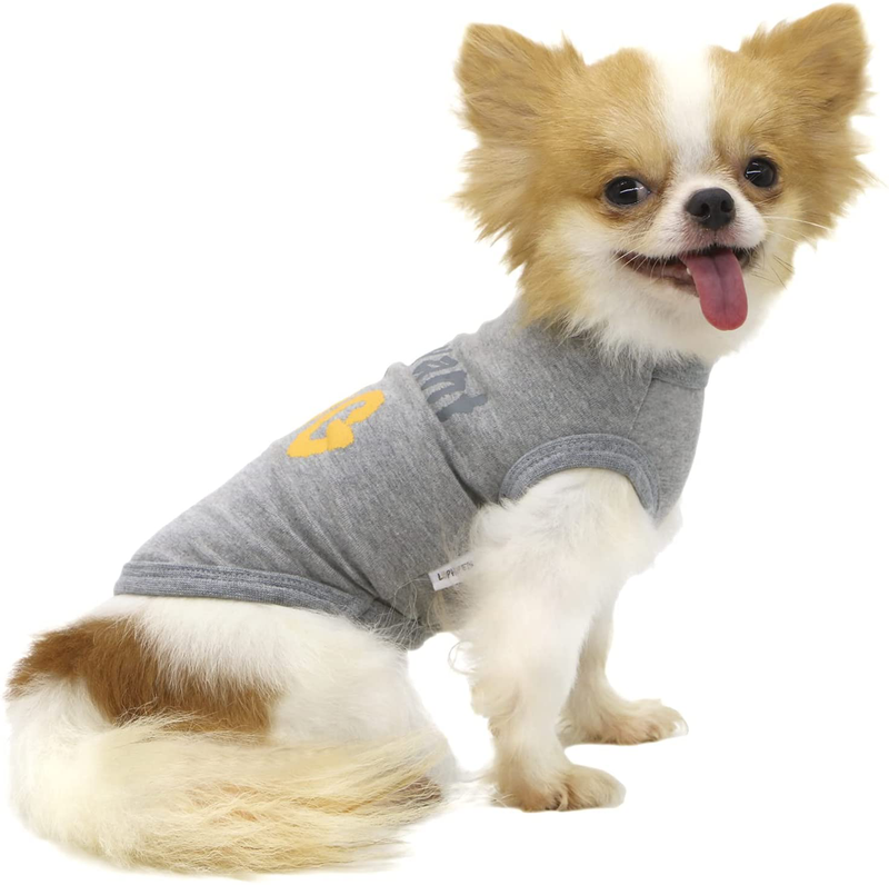 LOPHIPETS Dog Letter Print Shirts for Puppy Small Teacup Dogs Chihuahua Cat Animals & Pet Supplies > Pet Supplies > Cat Supplies > Cat Apparel LOPHIPETS Grey Medium (Pack of 1) 