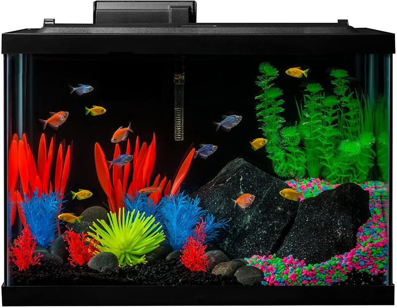 GloFish Aquarium Kit Fish Tank with LED Lighting and Filtration Included Animals & Pet Supplies > Pet Supplies > Fish Supplies > Aquariums GloFish 20-Gallon  