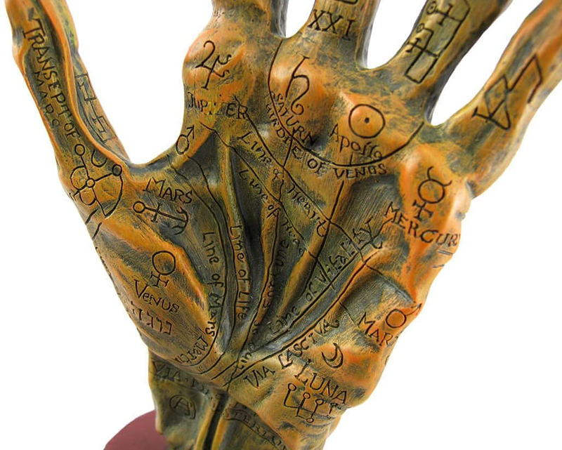 Things2Die4 Alchemy Mummified Palmistry Hand Gothic Home & Garden > Decor > Artwork > Sculptures & Statues Things2Die4   