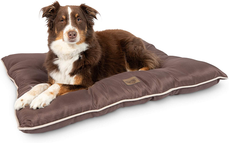 Pet Craft Supply Super Snoozer Durable Rugged Indoor / Outdoor All Season Water Resistant Dog Bed Medium Dog Bed Large Dog Dog Bed Animals & Pet Supplies > Pet Supplies > Dog Supplies > Dog Beds Pet Craft Supply Chocolate Large 