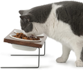 FUKUMARU Elevated Cat Ceramic Bowls, Small Dog 15°Tilted Raised Food Feeding Dishes, Solid Wood Water Stand Feeder Set for Cats and Puppy Animals & Pet Supplies > Pet Supplies > Cat Supplies FUKUMARU Walnut  