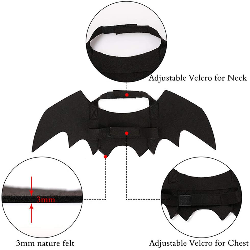 Pet Cat Bat Wings for Halloween Party Decoration, Puppy Collar Leads Cosplay Bat Costume,Cute Puppy Cat Dress up Accessories Animals & Pet Supplies > Pet Supplies > Cat Supplies > Cat Apparel Puoyis   