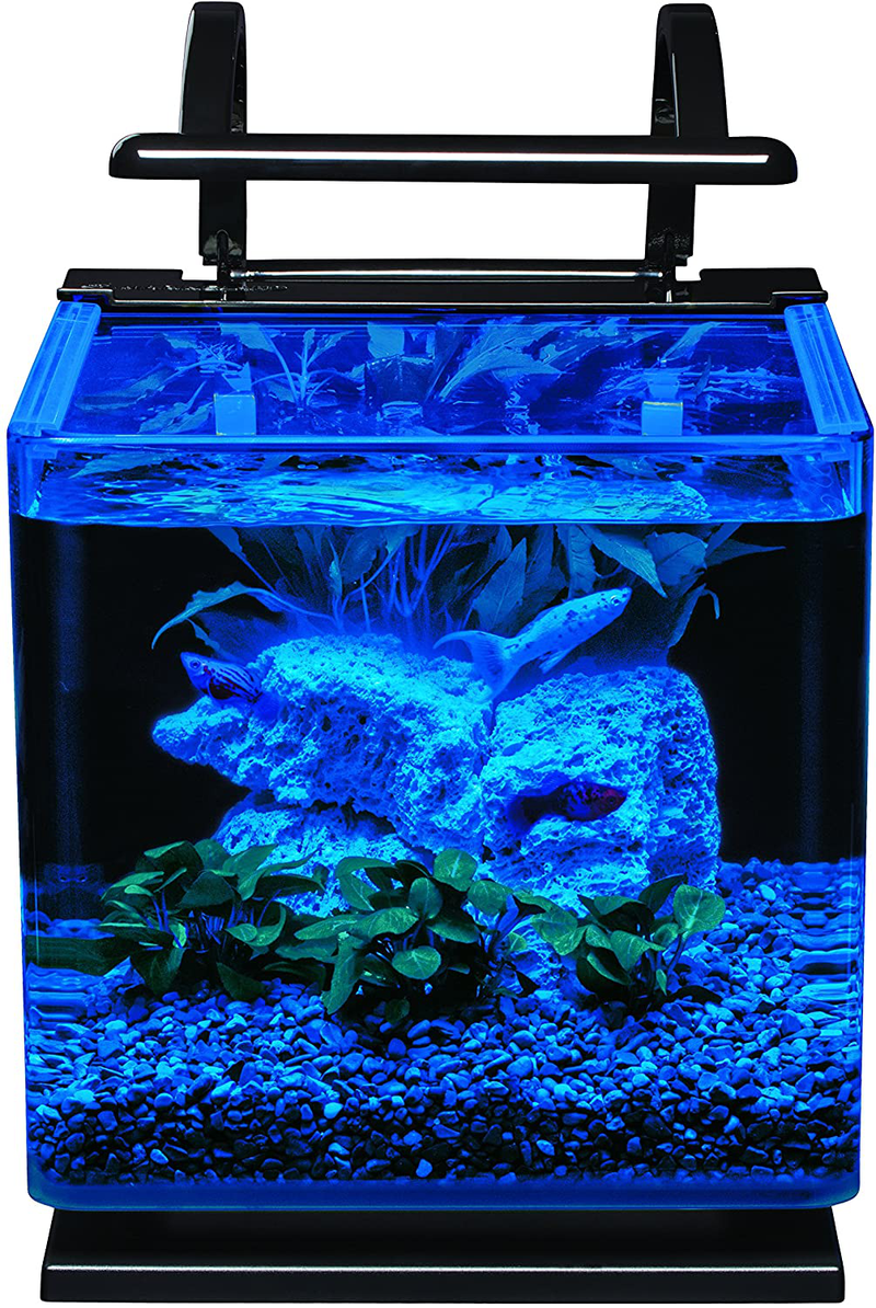 MarineLand Contour Glass Aquarium Kit with Rail Light Animals & Pet Supplies > Pet Supplies > Fish Supplies > Aquariums MarineLand   