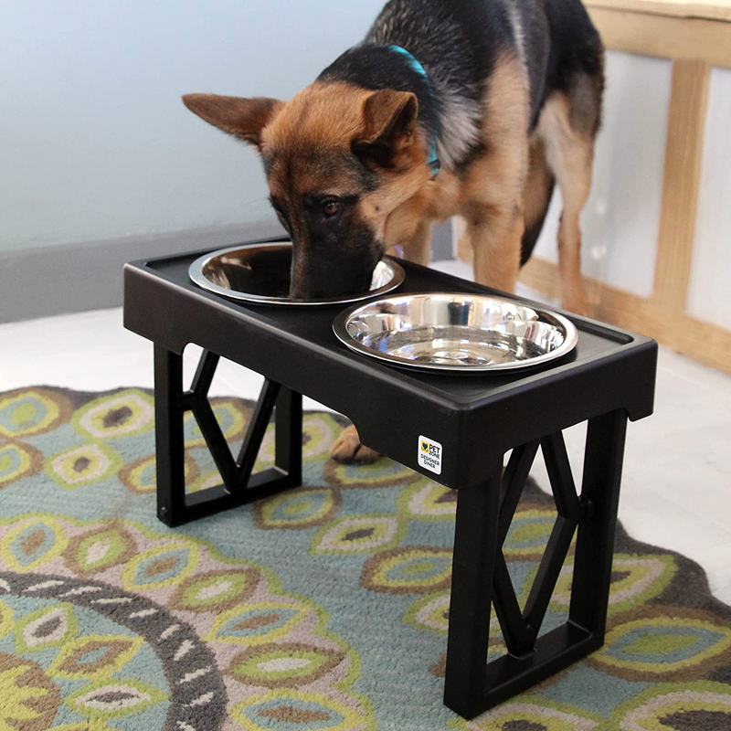 Pet Zone Designer Diner ADJUSTABLE Elevated Dog Bowls - Adjusts To 3 Heights, 2.75”, 8", & 12'' (Raised Dog Dish with Double Stainless Steel Bowls) Animals & Pet Supplies > Pet Supplies > Dog Supplies Pet Zone   