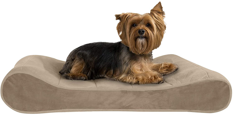 Furhaven Orthopedic, Cooling Gel, and Memory Foam Pet Beds for Small, Medium, and Large Dogs - Ergonomic Contour Luxe Lounger Dog Bed Mattress and More Animals & Pet Supplies > Pet Supplies > Dog Supplies > Dog Beds Furhaven Pet Products, Inc Microvelvet Clay Contour Bed (Orthopedic Foam) Medium (Pack of 1)