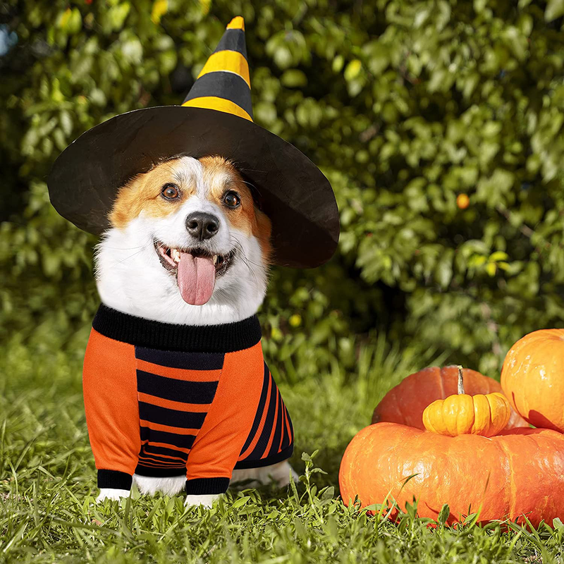 Pedgot 2 Pack Halloween Dog Shirt Soft Cotton Pet Costume Keep Warm Pet Autumn Winter Clothes for Medium Large Dogs