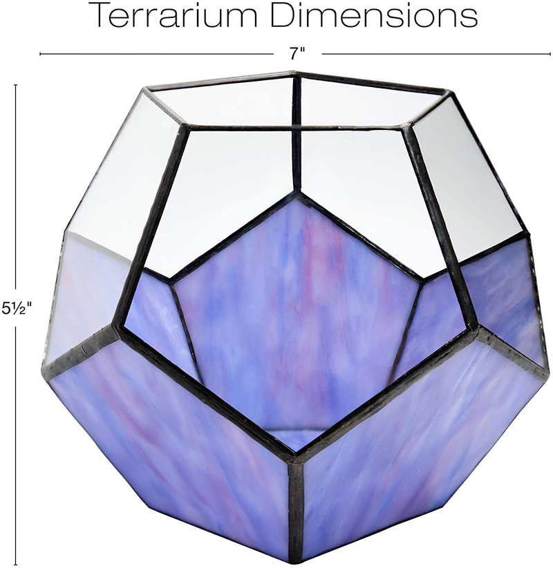 EXCELLO GLOBAL PRODUCTS Geometric Purple Glass Terrarium: Small Vase Planter (5.5" x 7") Container for Indoor, Plant Holder. Modern Artistic Decor. Animals & Pet Supplies > Pet Supplies > Reptile & Amphibian Supplies > Reptile & Amphibian Habitats Excello Global Products   