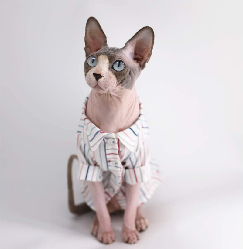 Sphynx Hairless Cat Breathable Summer Cotton Shirts Pet Clothes, Crown/Stripe/Car Pattern Button Kitten T-Shirts with Sleeves, Cats & Small Dogs Apparel Animals & Pet Supplies > Pet Supplies > Cat Supplies > Cat Apparel Kitipcoo   