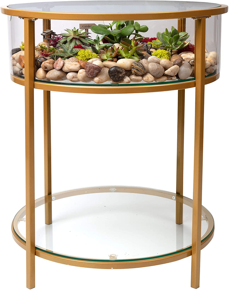 Round Terrarium Display End Table with Reinforced Glass in Gold Iron- 20"W x 26.5"H- Great Indoor Decor for Any Home or Office- DIY Garden for Fern Moss Succulents Cactus- A Unique Any Occasion Gift Animals & Pet Supplies > Pet Supplies > Reptile & Amphibian Supplies > Reptile & Amphibian Habitats D'Eco   