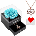 Preserved Real Rose with Infinity Heart Necklace. Forever Rose Flower Gifts for Mom Sister Girlfriend Wife Women on Valentines Day Mothers Day Anniversary Birthday Christmas (Red) Home & Garden > Decor > Seasonal & Holiday Decorations HappyStream Tiffany Blue  