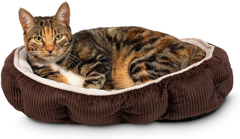 Pet Craft Supply Cat Bed for Indoor Cats - Kitten Bed - Machine Washable - Ultra Soft - Self Warming - Refillable Catnip Pouch Animals & Pet Supplies > Pet Supplies > Dog Supplies > Dog Beds Pet Craft Supply Brown  