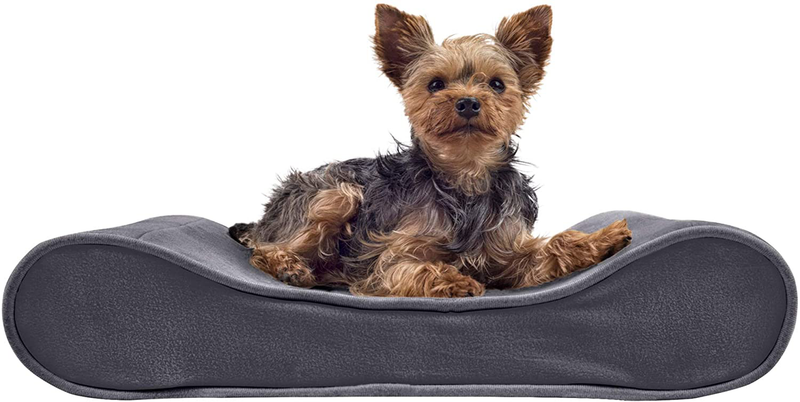 Furhaven Orthopedic, Cooling Gel, and Memory Foam Pet Beds for Small, Medium, and Large Dogs - Ergonomic Contour Luxe Lounger Dog Bed Mattress and More Animals & Pet Supplies > Pet Supplies > Dog Supplies > Dog Beds Furhaven Pet Products, Inc Microvelvet Gray Contour Bed (Orthopedic Foam) Small (Pack of 1)