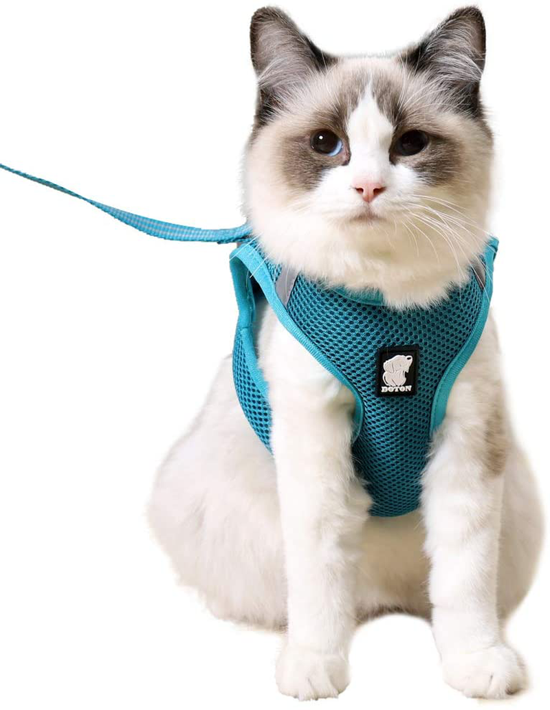 Heywean Cat Harness and Leash - Ultra Light Escape Proof Kitten Collar Cat Walking Jacket with Running Cushioning Soft and Comfortable Suitable for Puppies Rabbits Animals & Pet Supplies > Pet Supplies > Cat Supplies > Cat Apparel HEYWEAN Turquoise Large (Pack of 1) 
