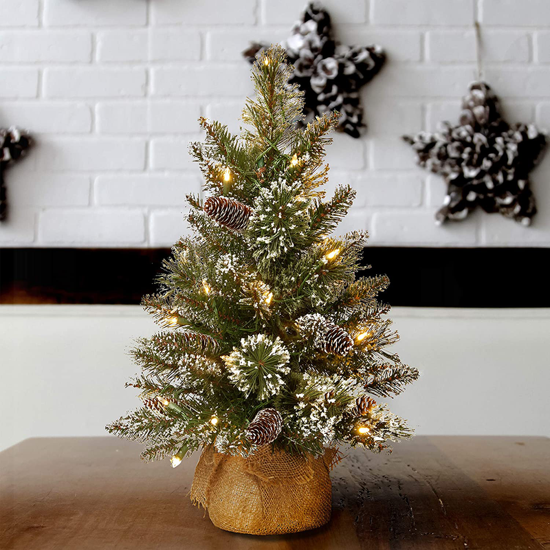 National Tree Company Pre-lit Artificial Mini Christmas Tree | Includes Small LED Lights, White Tipped, Glitter Branches Cones and Cloth Bag Base | Glittery Bristle Pine-2, 2 Foot, Green Home & Garden > Decor > Seasonal & Holiday Decorations& Garden > Decor > Seasonal & Holiday Decorations National Tree Company   