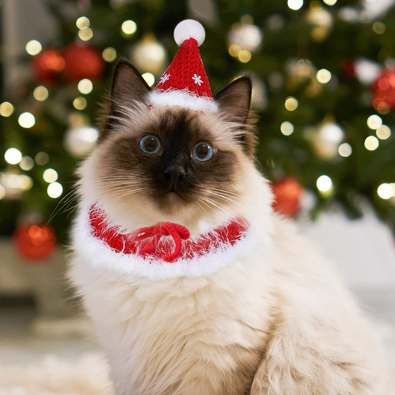 Lewondr Cat Santa Hat with Collars Knitted Christmas Costume Set Cat Dress up Woolen Hat Pet Christmas Costume Outfit Set Weaving Pet Clothing with Santa Hat and Collar for Cat