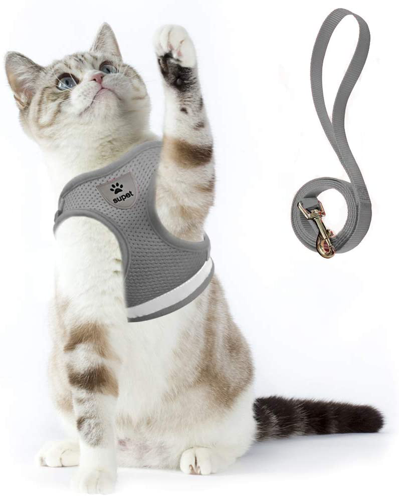 Supet Cat Harness and Leash Set for Walking Cat and Small Dog Harness Soft Mesh Puppy Harness Adjustable Cat Vest Harness with Reflective Strap Comfort Fit for Pet Kitten Puppy Rabbit Animals & Pet Supplies > Pet Supplies > Cat Supplies > Cat Apparel Supet Grey Small (Chest: 11" - 13") 