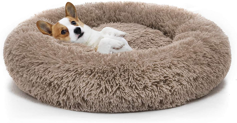 MIXJOY Orthopedic Dog Bed Comfortable Donut Cuddler round Dog Bed Ultra Soft Washable Dog and Cat Cushion Bed (23''/30''/36'') Animals & Pet Supplies > Pet Supplies > Dog Supplies > Dog Beds MIXJOY   