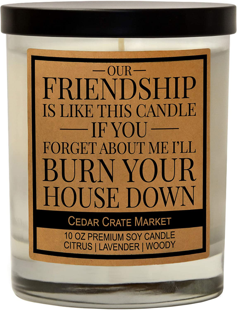 Our Friendship is Like This Candle, Best Friends Gift, Friendship Candle Gifts for Women, Funny Candles, Birthday Gifts for Friends Female, Funny Bestie Gifts for BFF, Coworker, Lavender Scented Home & Garden > Decor > Home Fragrances > Candles Cedar Crate Market Our Friendship...Burn Your House Down  