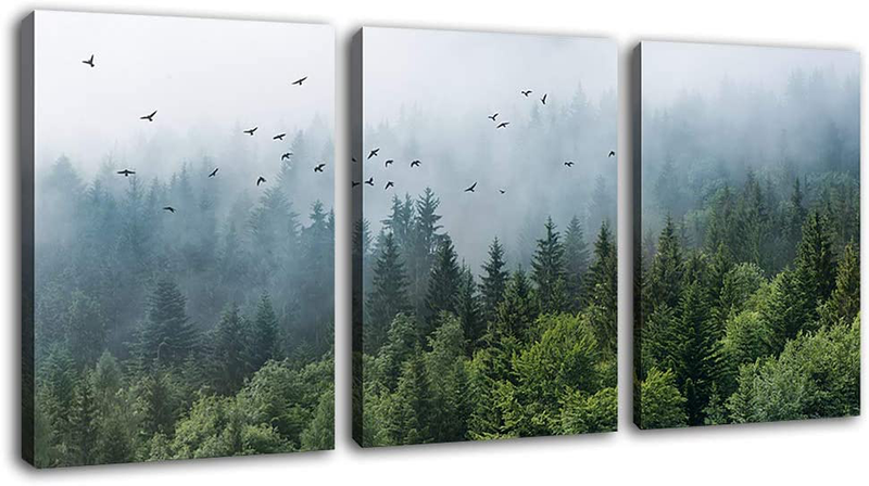 Green Forest Wall Art Tropical Virgin Forest Mountain Bird Contemporary Canvas Pictures Modern Artwork Framed for Bathroom Bedroom Nursery Living Room Home Office Kitchen Wall Decor 12" X 16" 3 Pieces Home & Garden > Decor > Artwork > Posters, Prints, & Visual Artwork tigeridge Green Forest 12" x 16" 3P 