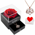 Preserved Real Rose with Infinity Heart Necklace. Forever Rose Flower Gifts for Mom Sister Girlfriend Wife Women on Valentines Day Mothers Day Anniversary Birthday Christmas (Red) Home & Garden > Decor > Seasonal & Holiday Decorations HappyStream Red  