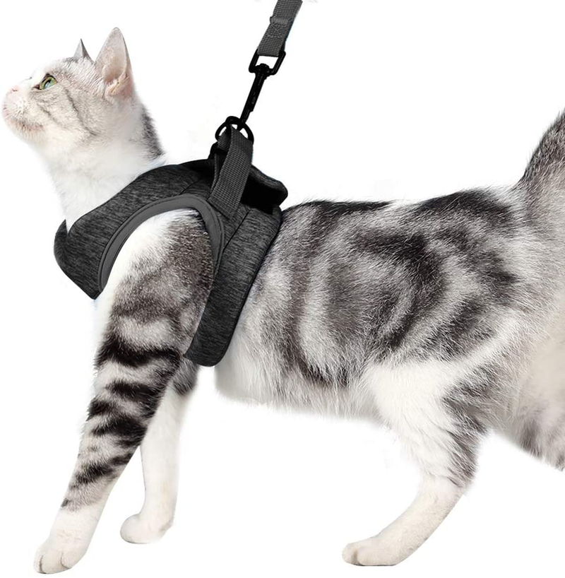Heywean Cat Harness and Leash - Ultra Light Escape Proof Kitten Collar Cat Walking Jacket with Running Cushioning Soft and Comfortable Suitable for Puppies Rabbits Animals & Pet Supplies > Pet Supplies > Cat Supplies > Cat Apparel HEYWEAN Grey Large (Pack of 1) 