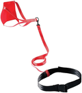 FINIS Swim Parachute Resistance Training Equipment Sporting Goods > Outdoor Recreation > Boating & Water Sports > Swimming FINIS Red - 8 Inch  