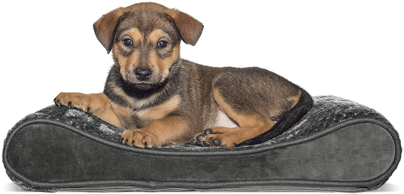 Furhaven Orthopedic, Cooling Gel, and Memory Foam Pet Beds for Small, Medium, and Large Dogs - Ergonomic Contour Luxe Lounger Dog Bed Mattress and More Animals & Pet Supplies > Pet Supplies > Dog Supplies > Dog Beds Furhaven Pet Products, Inc Minky Gray Contour Bed (Orthopedic Foam) Small (Pack of 1)