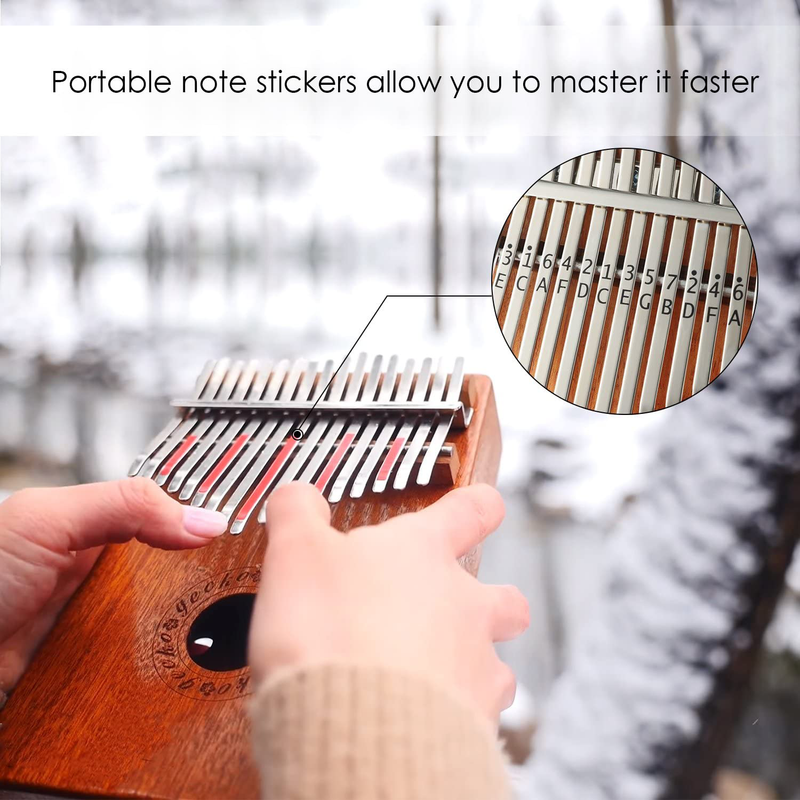 GECKO Kalimba 17 Keys Thumb Piano with Waterproof Protective Box,Tune Hammer and Study Instruction,Portable Mbira Sanza Finger Piano,Gift for Kids Adult Beginners Professional  Gecko   