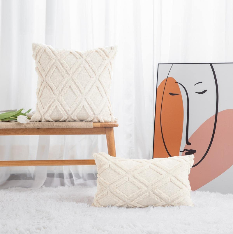 Neelvin Pack of 2 Soft Plush Short Wool Velvet Decorative Throw Pillow Covers Cushion Case Pillowcase for Sofa Couch Home & Garden > Decor > Chair & Sofa Cushions Neelvin   