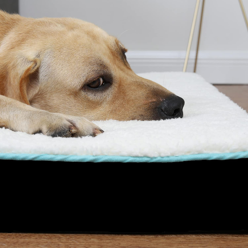 EDUJIN Egg Crate Foam Dog Bed - Orthopedic Rectangle Pet Bed with Removable Washable Cover - Soft anti Slip Pad Mat Animals & Pet Supplies > Pet Supplies > Dog Supplies > Dog Beds EDUJIN   