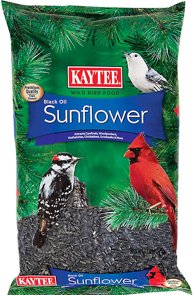 Kaytee Wild Bird Black Oil Sunflower Food, 5 Pounds Animals & Pet Supplies > Pet Supplies > Bird Supplies > Bird Food Central Garden & Pet Default Title  