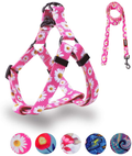 QQPETS Dog Harness Leash Set Adjustable Heavy Duty No Pull Halter Harnesses for Small Medium Large Breed Dogs Back Clip Anti-Twist Perfect for Walking Animals & Pet Supplies > Pet Supplies > Dog Supplies Guangzhou QQPETS Pet Products Co., Ltd. Daisy XS(12"-18" Chest Girth) 