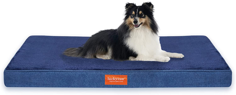 Luckyvon Large Dog Bed, Orthopedic Memory Foam Dog Bed, Large Dog Bed with Removable Plush Cover ,Waterproof Lining and Nonskid Bottom Dog Couch,Dog Mattress Suitable for 30 Lbs to 200 Lbs Animals & Pet Supplies > Pet Supplies > Dog Supplies > Dog Beds luckyvon   
