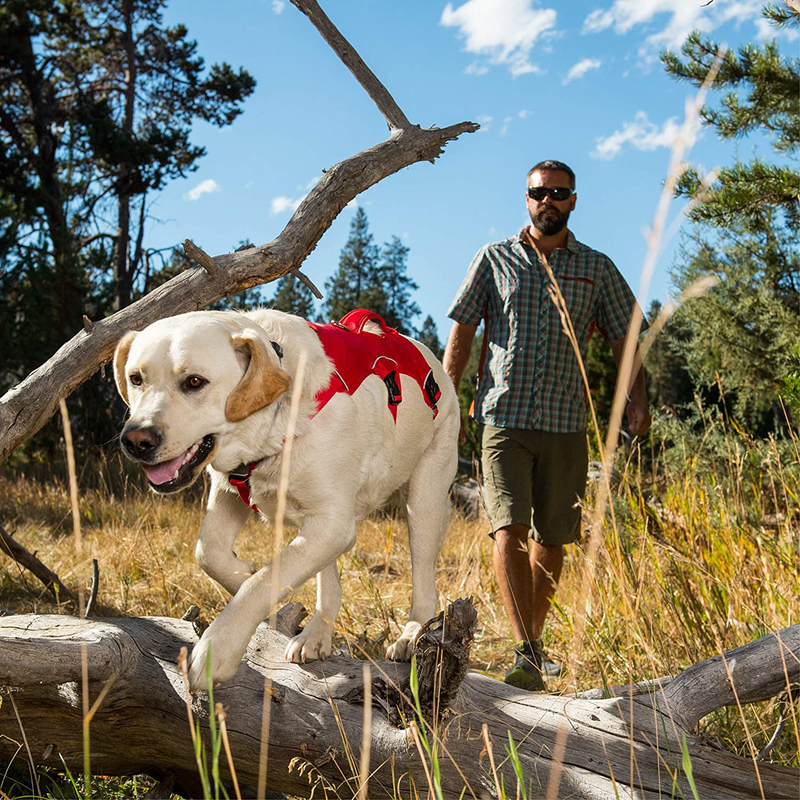 RUFFWEAR, Web Master, Multi-Use Support Dog Harness, Hiking and Trail Running, Service and Working, Everyday Wear Animals & Pet Supplies > Pet Supplies > Dog Supplies RUFFWEAR   