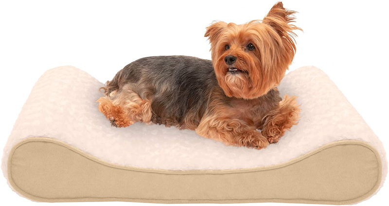 Furhaven Orthopedic, Cooling Gel, and Memory Foam Pet Beds for Small, Medium, and Large Dogs - Ergonomic Contour Luxe Lounger Dog Bed Mattress and More Animals & Pet Supplies > Pet Supplies > Dog Supplies > Dog Beds Furhaven Pet Products, Inc Ultra Plush Cream Contour Bed (Memory Foam) Medium (Pack of 1)