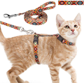 Jamktepat Cat Harness and Leash Set Geometric Pattern Escape Proof Adjustable for Kitty Outdoor Walking Animals & Pet Supplies > Pet Supplies > Cat Supplies > Cat Apparel Jamktepat Orange  