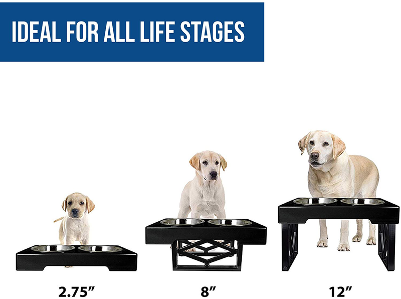 Pet Zone Designer Diner ADJUSTABLE Elevated Dog Bowls - Adjusts To 3 Heights, 2.75”, 8", & 12'' (Raised Dog Dish with Double Stainless Steel Bowls) Animals & Pet Supplies > Pet Supplies > Dog Supplies Pet Zone   