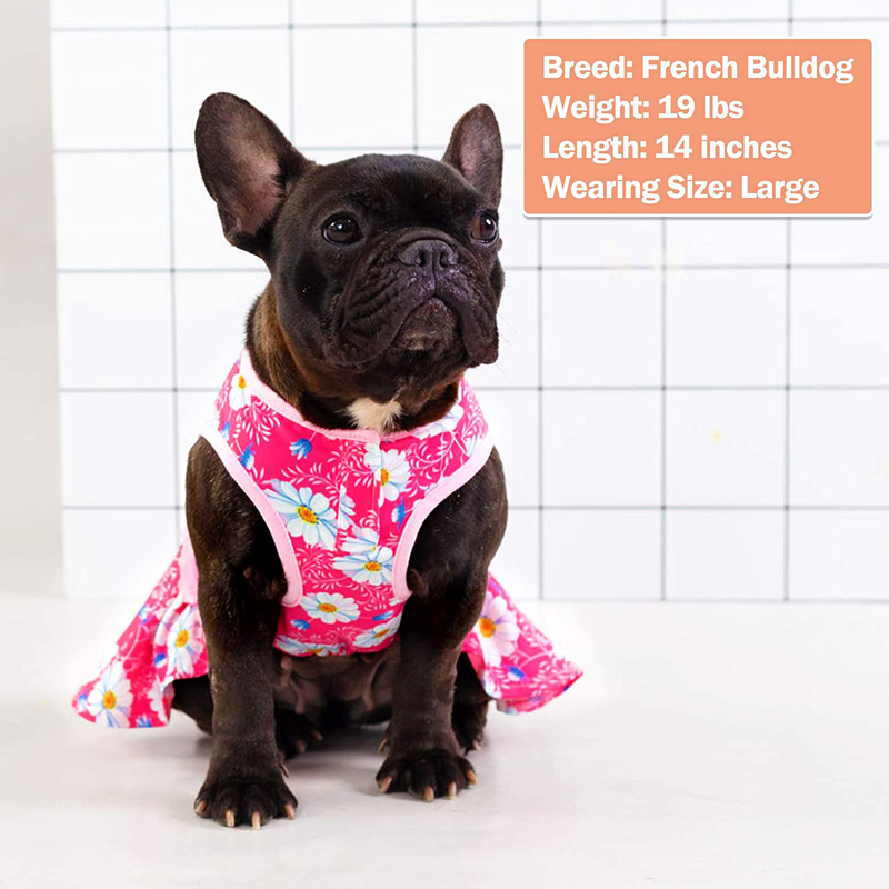 KYEESE Dogs Dresses Daisy Eelgant Princess Doggie Dress for Small Dogs with Flowers Decor Spring Summer Animals & Pet Supplies > Pet Supplies > Cat Supplies > Cat Apparel KYEESE   