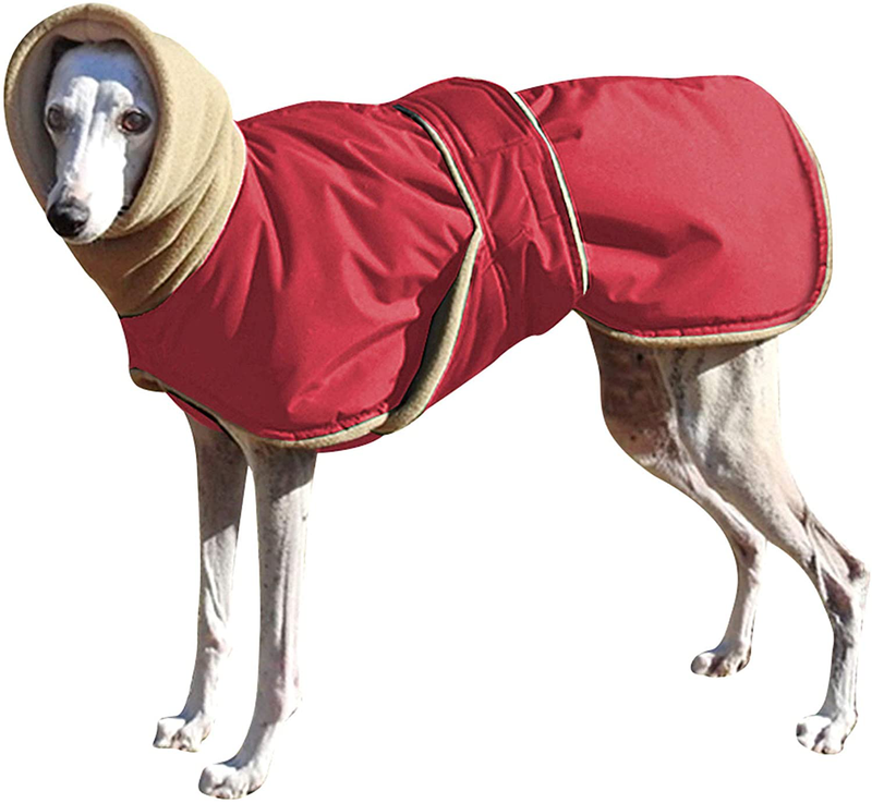 Didog Waterproof Dog Winter Jacket with Turtleneck Scarf,Pets Cold Weather Coats with Soft Warm Fleece Lining,Windproof Snowsuit Outdoor Apparel for Medium Large Dogs Animals & Pet Supplies > Pet Supplies > Dog Supplies > Dog Apparel Didog Red Chest:25-34" Back Length:27.5" 