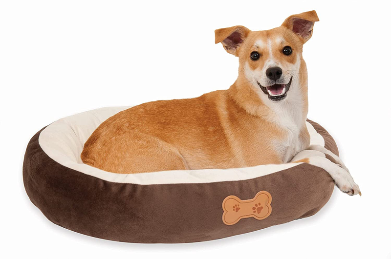 Petmate Pet Bed Animals & Pet Supplies > Pet Supplies > Dog Supplies > Dog Beds Petmate   