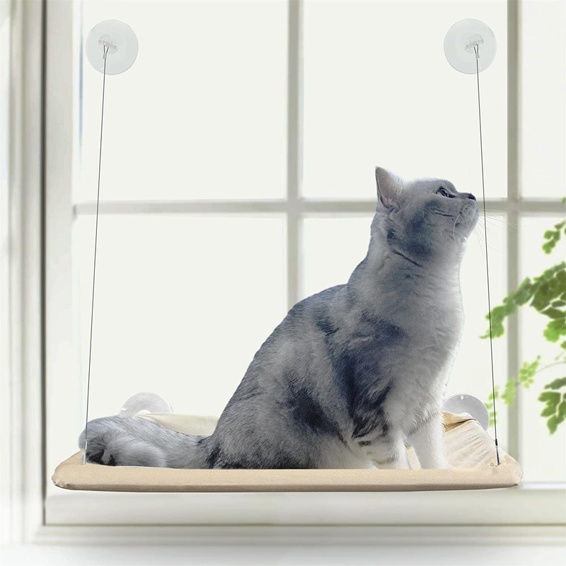 PETPAWJOY Cat Bed, Cat Window Perch Window Seat Suction Cups Space Saving Cat Hammock Pet Resting Seat Safety Cat Shelves - Providing All around 360° Sunbath for Cats Weightedup to 30Lb Animals & Pet Supplies > Pet Supplies > Cat Supplies > Cat Beds PETPAWJOY   
