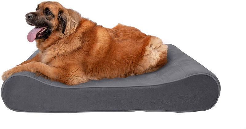 Furhaven Orthopedic, Cooling Gel, and Memory Foam Pet Beds for Small, Medium, and Large Dogs - Ergonomic Contour Luxe Lounger Dog Bed Mattress and More Animals & Pet Supplies > Pet Supplies > Dog Supplies > Dog Beds Furhaven Pet Products, Inc Microvelvet Gray Contour Bed (Orthopedic Foam) Jumbo Plus (Pack of 1)