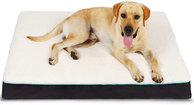 EDUJIN Egg Crate Foam Dog Bed - Orthopedic Rectangle Pet Bed with Removable Washable Cover - Soft anti Slip Pad Mat Animals & Pet Supplies > Pet Supplies > Dog Supplies > Dog Beds EDUJIN Black X-Large 