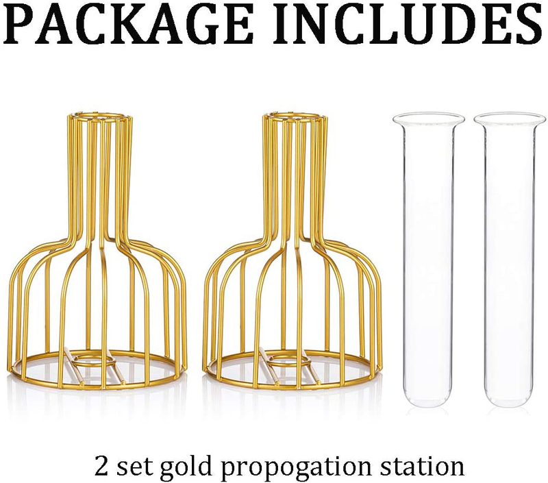 Glass Propagation Station with Metal Frame, Gold Flower Vase, Test Tube Vase for Hydroponic Plant, Small Bud Vase for Home Kitchen Office Table Top Decor Home & Garden > Decor > Vases Glasseam   