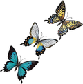 CT DISCOUNT STORE Nature Inspired 3 D Metal Wall Scupture Beautiful Butterflies Trio Home Decor Accent (Beautiful Multicolor Pattern Butterfly) Home & Garden > Decor > Artwork > Sculptures & Statues CT DISCOUNT STORE Beautiful Multicolor Pattern Butterfly  