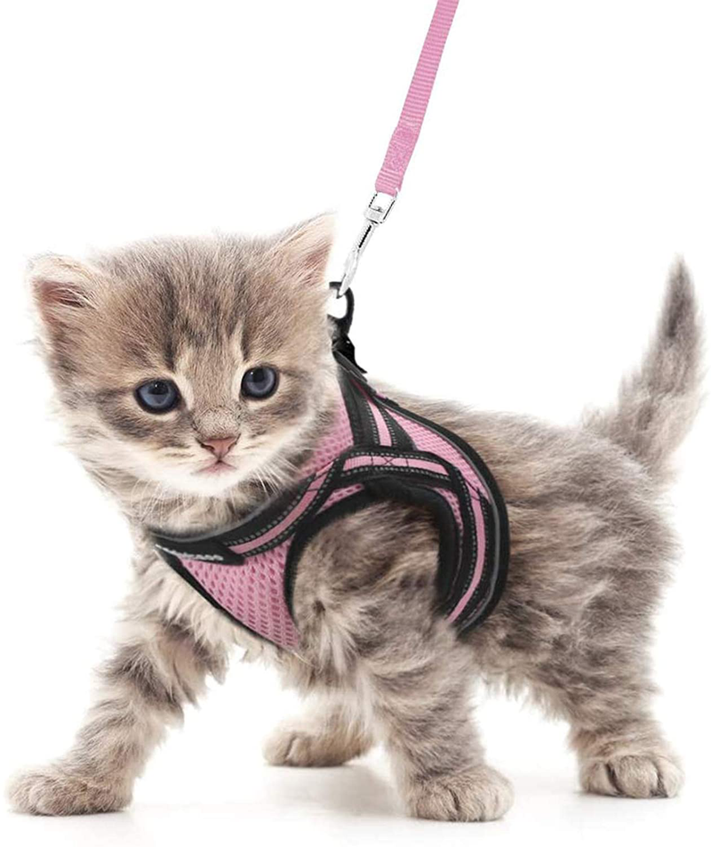 rabbitgoo Cat Harness and Leash Set for Walking Escape Proof, Adjustable Soft Kittens Vest with Reflective Strip for Cats, Comfortable Outdoor Vest, Black, S (Chest:9.0"-12.0") Animals & Pet Supplies > Pet Supplies > Cat Supplies > Cat Apparel rabbitgoo Pink Medium 