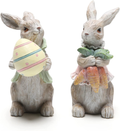 Hodao Easter Bunny Decorations Spring Home Decor Bunny Figurines(Easter White Rabbit 2Pcs) Home & Garden > Decor > Seasonal & Holiday Decorations Hodao Easter Gray Rabbit 2pcs  