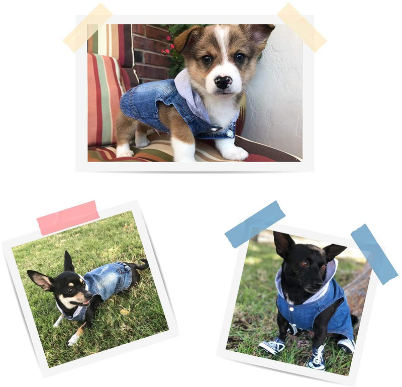Companet Breathable Pet Clothes, Soft and Warm Winte Clothes for Small Medium Dogs Cats, Dog Jeans Jacket Cool Blue Denim Coatlapel Vests Classic Puppy Blue Vintage Washed Clothes Hoodie Vest Animals & Pet Supplies > Pet Supplies > Cat Supplies > Cat Apparel Companet   