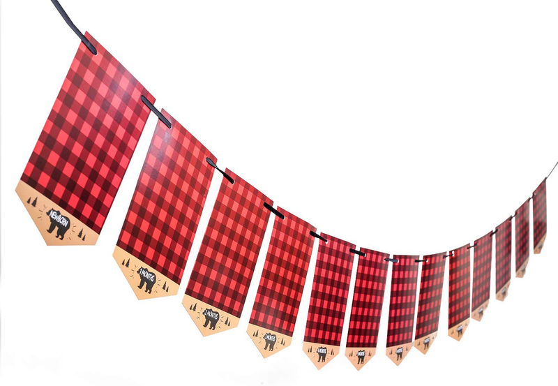 Lumberjack First Birthday Photo Banner Baby Monthly Photo Prop Buffalo Plaid Camping Bunting Garland, Woodland Party Decor Home & Garden > Decor > Seasonal & Holiday Decorations BCHOCKS   