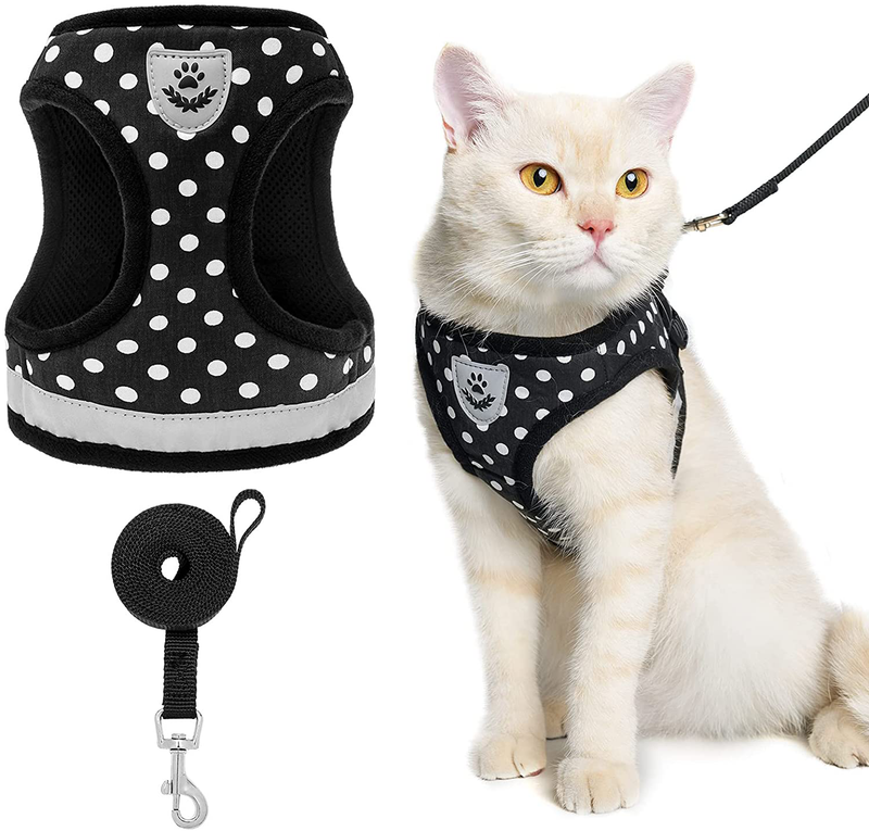 SCENEREAL Durable Cat Harness with Leash Set Adjustable Dot Pattern Harness Free Choke Harness for Puppy and Cat Wearing Animals & Pet Supplies > Pet Supplies > Cat Supplies > Cat Apparel SCENEREAL Black Medium 